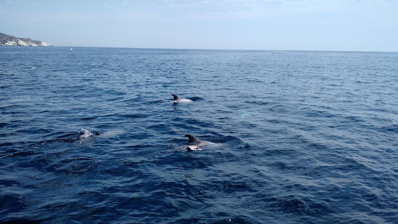 ホテルCabanas Y Camping Mar Azul グアナケロ エクステリア 写真